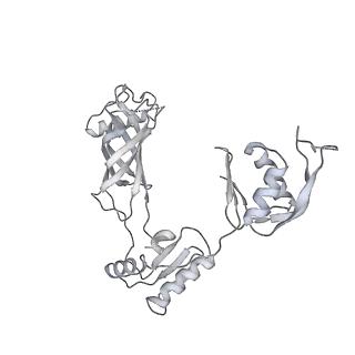 30359_7cgo_BY_v1-2
Cryo-EM structure of the flagellar motor-hook complex from Salmonella