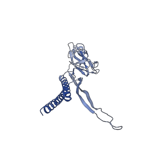 30359_7cgo_B_v1-2
Cryo-EM structure of the flagellar motor-hook complex from Salmonella