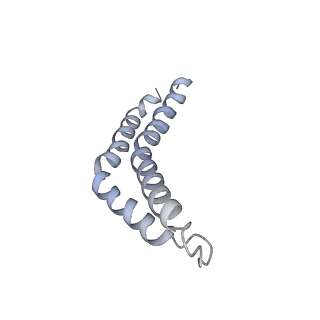 30359_7cgo_CA_v1-2
Cryo-EM structure of the flagellar motor-hook complex from Salmonella