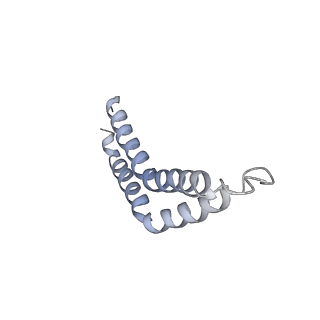 30359_7cgo_CB_v1-2
Cryo-EM structure of the flagellar motor-hook complex from Salmonella