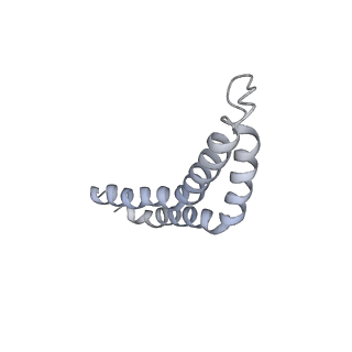 30359_7cgo_CC_v1-2
Cryo-EM structure of the flagellar motor-hook complex from Salmonella