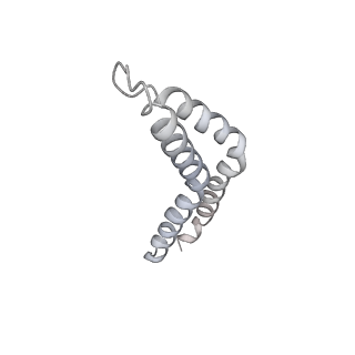 30359_7cgo_CD_v1-2
Cryo-EM structure of the flagellar motor-hook complex from Salmonella