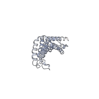30359_7cgo_CE_v1-2
Cryo-EM structure of the flagellar motor-hook complex from Salmonella