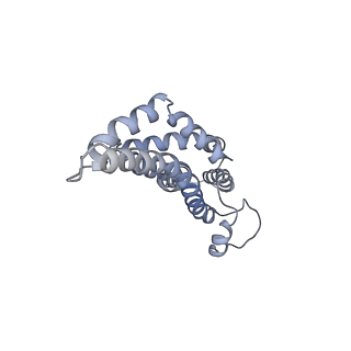 30359_7cgo_CF_v1-2
Cryo-EM structure of the flagellar motor-hook complex from Salmonella