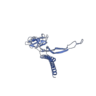 30359_7cgo_C_v1-2
Cryo-EM structure of the flagellar motor-hook complex from Salmonella