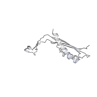 30359_7cgo_Cb_v1-2
Cryo-EM structure of the flagellar motor-hook complex from Salmonella