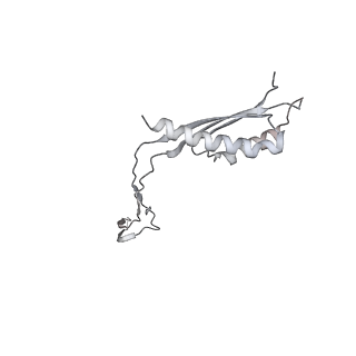 30359_7cgo_Cf_v1-2
Cryo-EM structure of the flagellar motor-hook complex from Salmonella