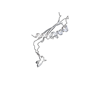30359_7cgo_Ch_v1-2
Cryo-EM structure of the flagellar motor-hook complex from Salmonella