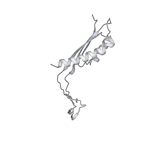 30359_7cgo_Ci_v1-2
Cryo-EM structure of the flagellar motor-hook complex from Salmonella