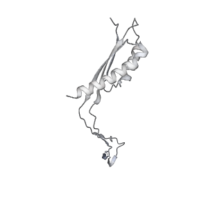 30359_7cgo_Cj_v1-2
Cryo-EM structure of the flagellar motor-hook complex from Salmonella