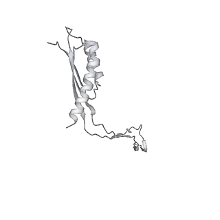 30359_7cgo_Cn_v1-2
Cryo-EM structure of the flagellar motor-hook complex from Salmonella