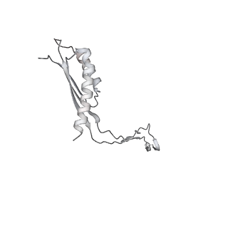 30359_7cgo_Co_v1-2
Cryo-EM structure of the flagellar motor-hook complex from Salmonella