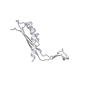 30359_7cgo_Cp_v1-2
Cryo-EM structure of the flagellar motor-hook complex from Salmonella