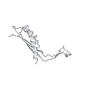 30359_7cgo_Cq_v1-2
Cryo-EM structure of the flagellar motor-hook complex from Salmonella
