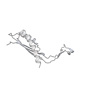 30359_7cgo_Cr_v1-2
Cryo-EM structure of the flagellar motor-hook complex from Salmonella