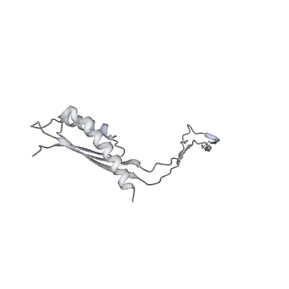 30359_7cgo_Cs_v1-2
Cryo-EM structure of the flagellar motor-hook complex from Salmonella