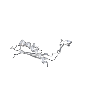30359_7cgo_Ct_v1-2
Cryo-EM structure of the flagellar motor-hook complex from Salmonella