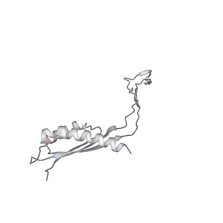 30359_7cgo_Cw_v1-2
Cryo-EM structure of the flagellar motor-hook complex from Salmonella