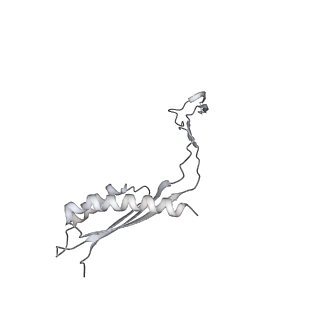 30359_7cgo_Cx_v1-2
Cryo-EM structure of the flagellar motor-hook complex from Salmonella