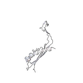 30359_7cgo_Cz_v1-2
Cryo-EM structure of the flagellar motor-hook complex from Salmonella