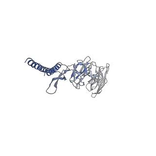 30359_7cgo_DA_v1-2
Cryo-EM structure of the flagellar motor-hook complex from Salmonella