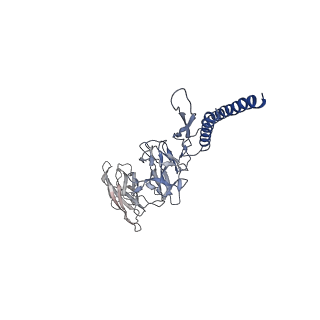 30359_7cgo_DC_v1-2
Cryo-EM structure of the flagellar motor-hook complex from Salmonella