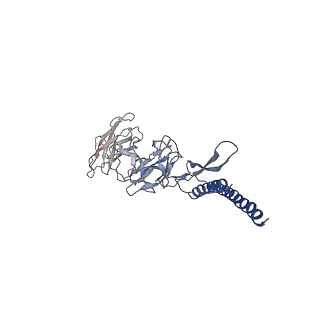 30359_7cgo_DD_v1-2
Cryo-EM structure of the flagellar motor-hook complex from Salmonella