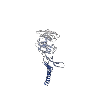 30359_7cgo_DE_v1-2
Cryo-EM structure of the flagellar motor-hook complex from Salmonella