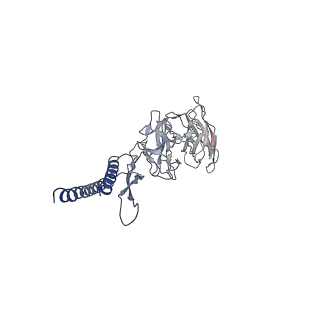 30359_7cgo_DF_v1-2
Cryo-EM structure of the flagellar motor-hook complex from Salmonella