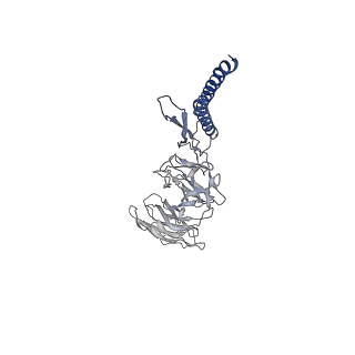30359_7cgo_DH_v1-2
Cryo-EM structure of the flagellar motor-hook complex from Salmonella