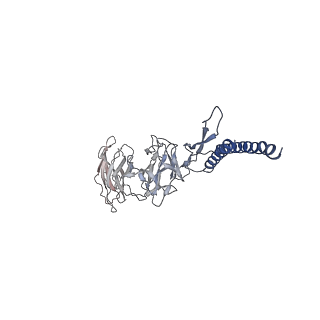 30359_7cgo_DI_v1-2
Cryo-EM structure of the flagellar motor-hook complex from Salmonella
