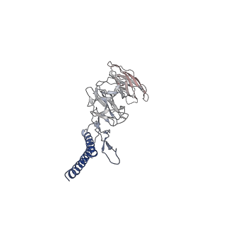 30359_7cgo_DK_v1-2
Cryo-EM structure of the flagellar motor-hook complex from Salmonella