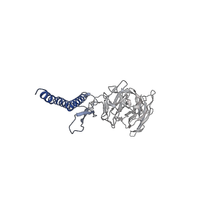 30359_7cgo_DL_v1-2
Cryo-EM structure of the flagellar motor-hook complex from Salmonella