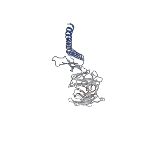 30359_7cgo_DM_v1-2
Cryo-EM structure of the flagellar motor-hook complex from Salmonella