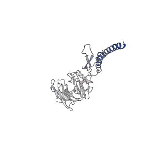 30359_7cgo_DN_v1-2
Cryo-EM structure of the flagellar motor-hook complex from Salmonella