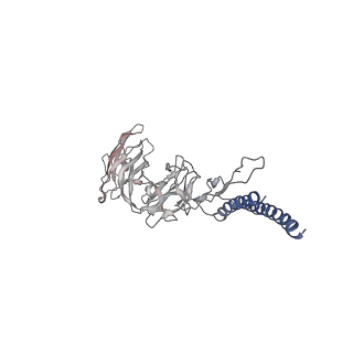 30359_7cgo_DO_v1-2
Cryo-EM structure of the flagellar motor-hook complex from Salmonella