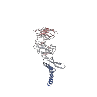 30359_7cgo_DP_v1-2
Cryo-EM structure of the flagellar motor-hook complex from Salmonella