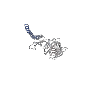 30359_7cgo_DR_v1-2
Cryo-EM structure of the flagellar motor-hook complex from Salmonella