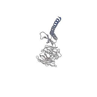 30359_7cgo_DS_v1-2
Cryo-EM structure of the flagellar motor-hook complex from Salmonella