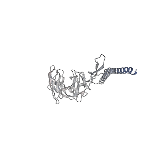 30359_7cgo_DT_v1-2
Cryo-EM structure of the flagellar motor-hook complex from Salmonella
