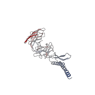 30359_7cgo_DU_v1-2
Cryo-EM structure of the flagellar motor-hook complex from Salmonella