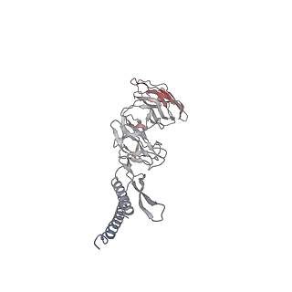30359_7cgo_DV_v1-2
Cryo-EM structure of the flagellar motor-hook complex from Salmonella
