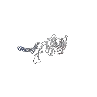 30359_7cgo_DW_v1-2
Cryo-EM structure of the flagellar motor-hook complex from Salmonella