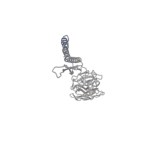 30359_7cgo_DX_v1-2
Cryo-EM structure of the flagellar motor-hook complex from Salmonella