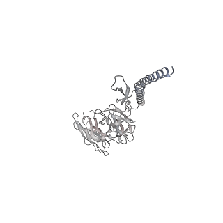 30359_7cgo_DY_v1-2
Cryo-EM structure of the flagellar motor-hook complex from Salmonella