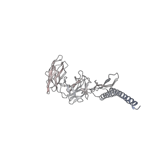 30359_7cgo_DZ_v1-2
Cryo-EM structure of the flagellar motor-hook complex from Salmonella