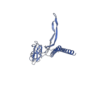 30359_7cgo_D_v1-2
Cryo-EM structure of the flagellar motor-hook complex from Salmonella