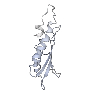 30359_7cgo_Da_v1-2
Cryo-EM structure of the flagellar motor-hook complex from Salmonella