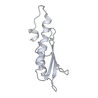 30359_7cgo_Db_v1-2
Cryo-EM structure of the flagellar motor-hook complex from Salmonella