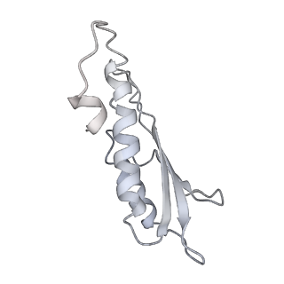 30359_7cgo_Dc_v1-2
Cryo-EM structure of the flagellar motor-hook complex from Salmonella